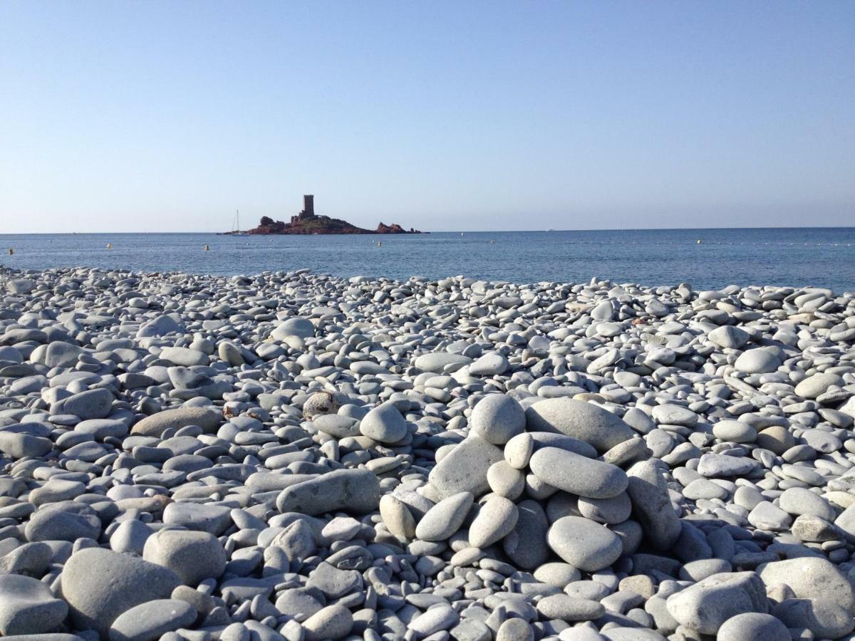 Zen * Frejus